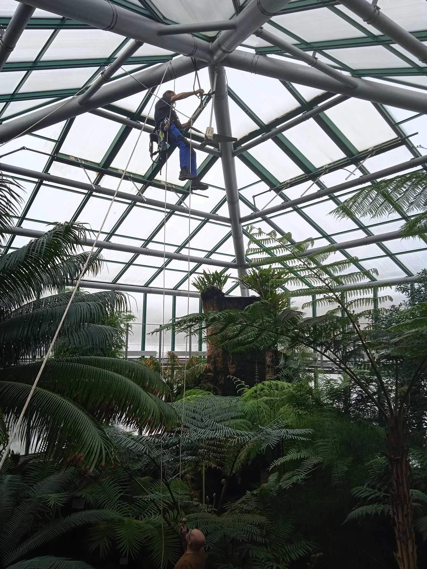 Výškový lezec Aleš Kučera Rizikové kácení stromů Výškové práce Prořezávání stromů a stromku práce s motorovou pilou řezání dřeva ostatní práce horolezeckou technikou