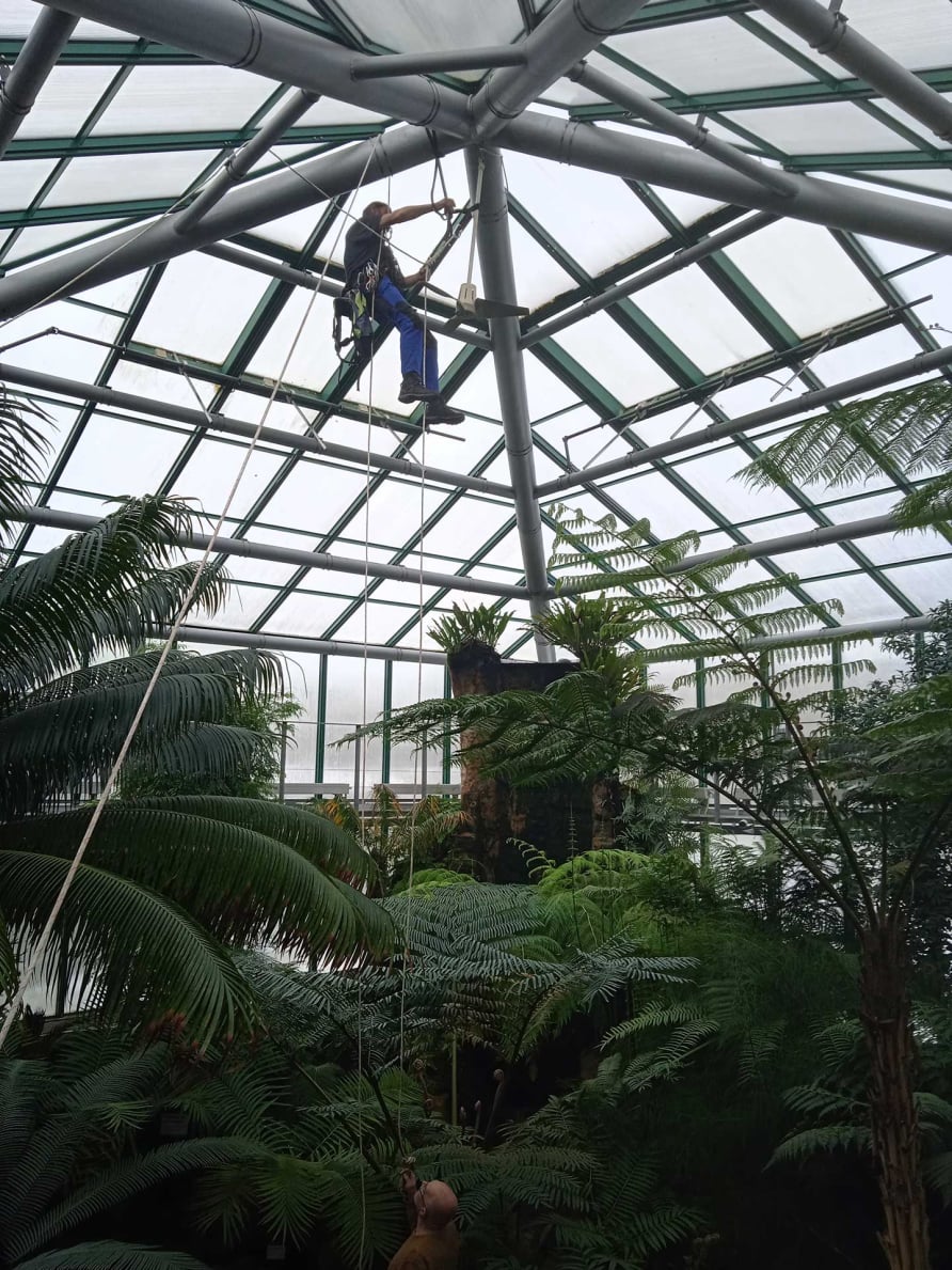 Výškový lezec Aleš Kučera Rizikové kácení stromů Výškové práce Prořezávání stromů a stromku práce s motorovou pilou řezání dřeva ostatní práce horolezeckou technikou