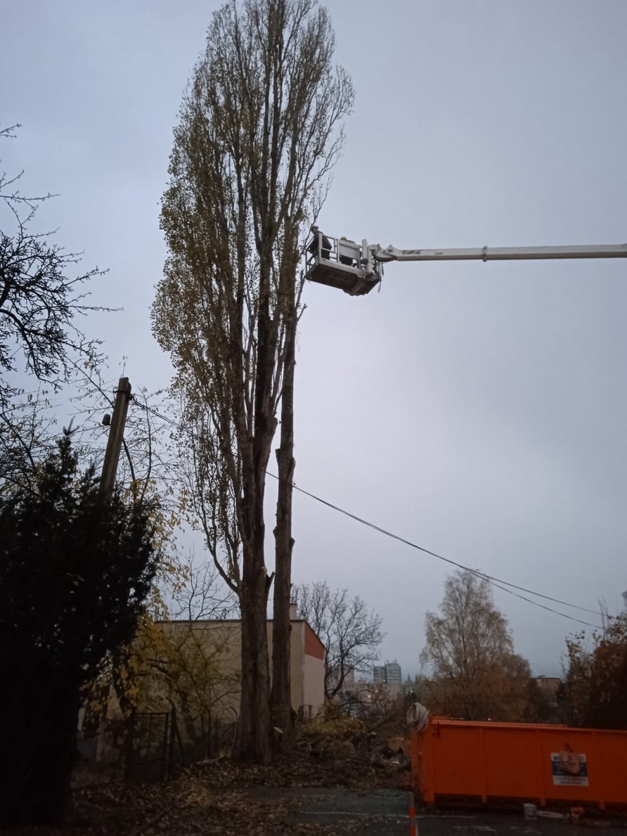 Výškový lezec Aleš Kučera Rizikové kácení stromů Výškové práce Prořezávání stromů a stromku práce s motorovou pilou řezání dřeva ostatní práce horolezeckou technikou