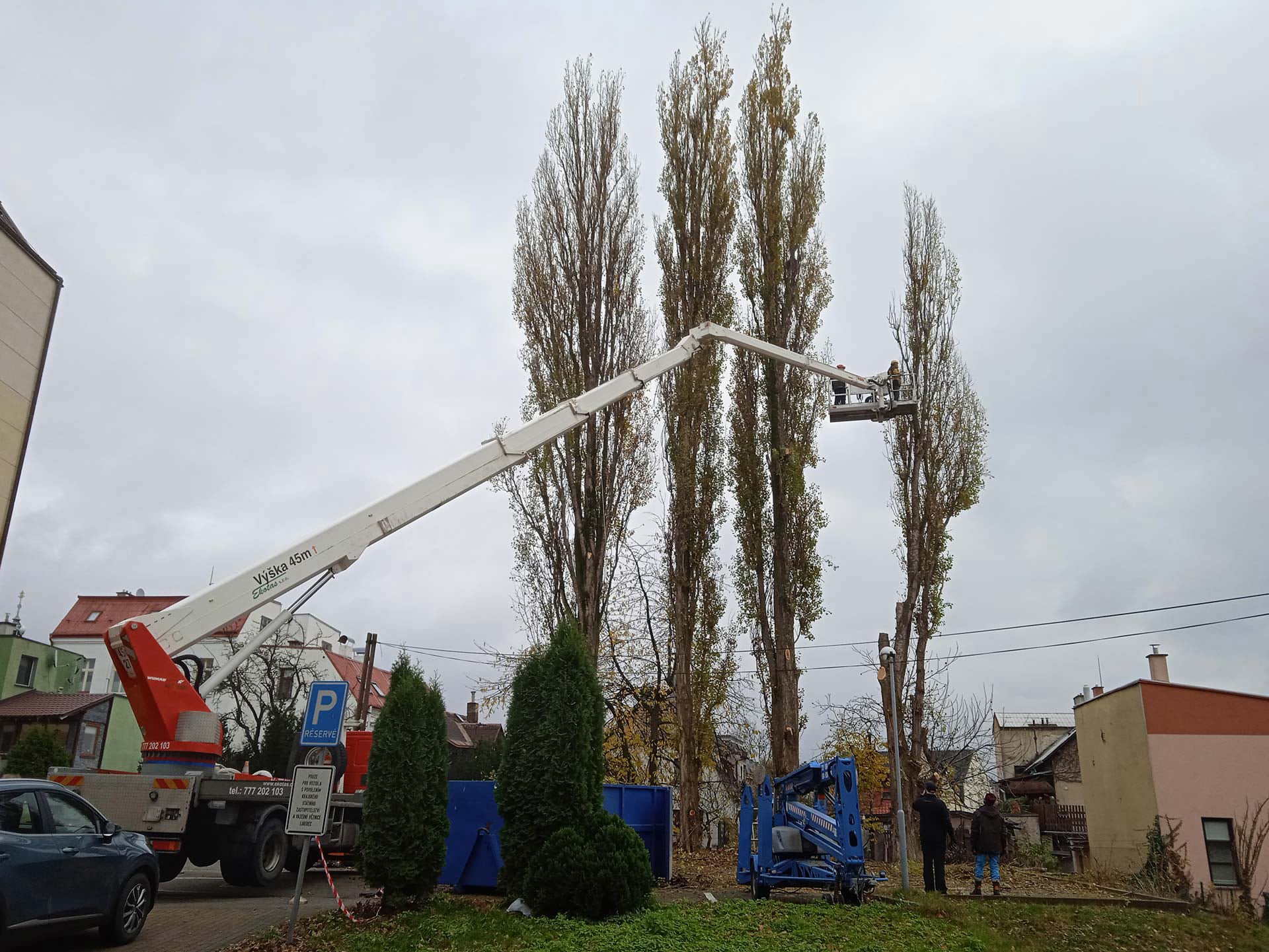Výškový lezec Aleš Kučera Rizikové kácení stromů Výškové práce Prořezávání stromů a stromku práce s motorovou pilou řezání dřeva ostatní práce horolezeckou technikou