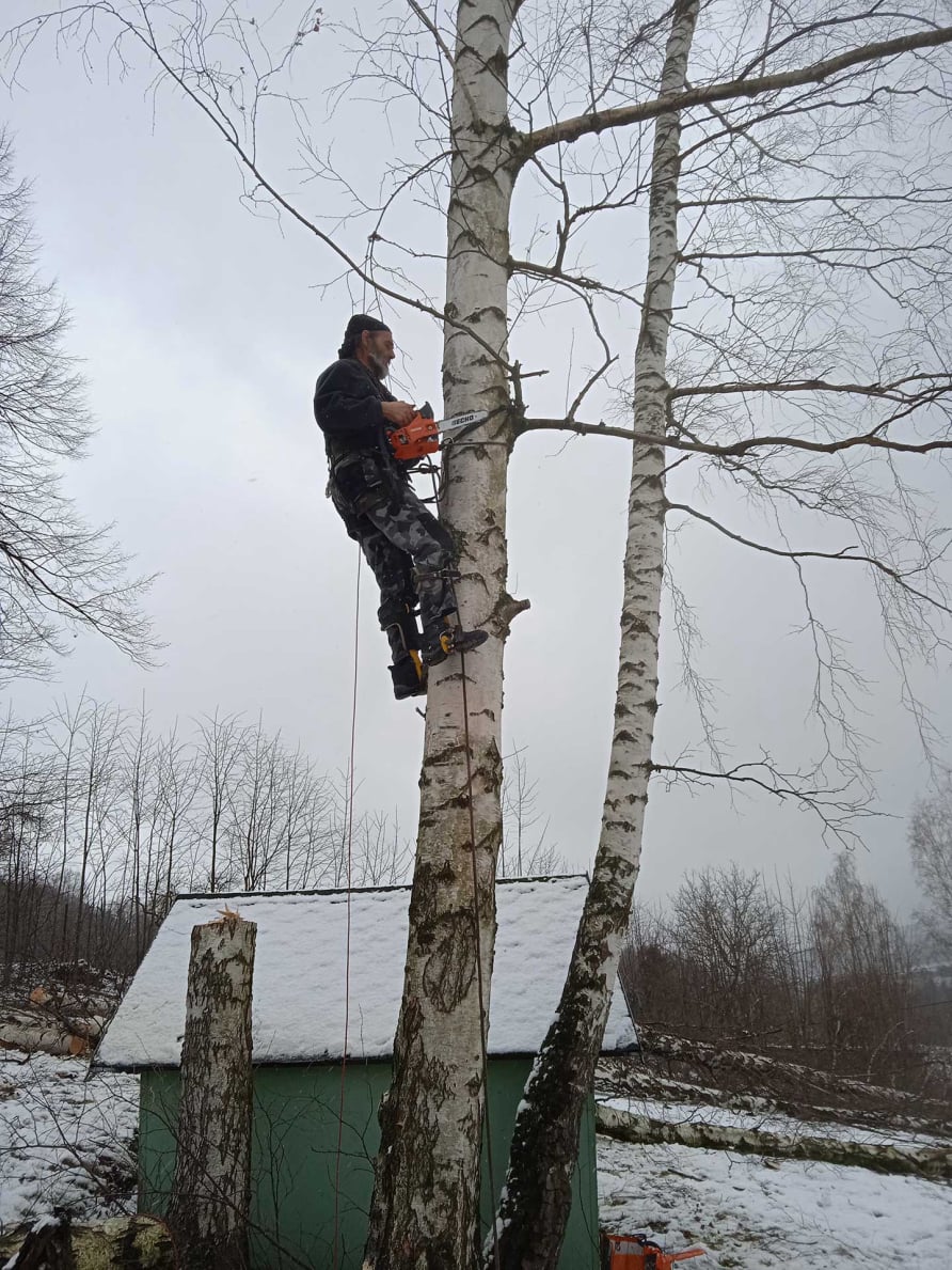 Výškový lezec Aleš Kučera Rizikové kácení stromů Výškové práce Prořezávání stromů a stromku práce s motorovou pilou řezání dřeva ostatní práce horolezeckou technikou