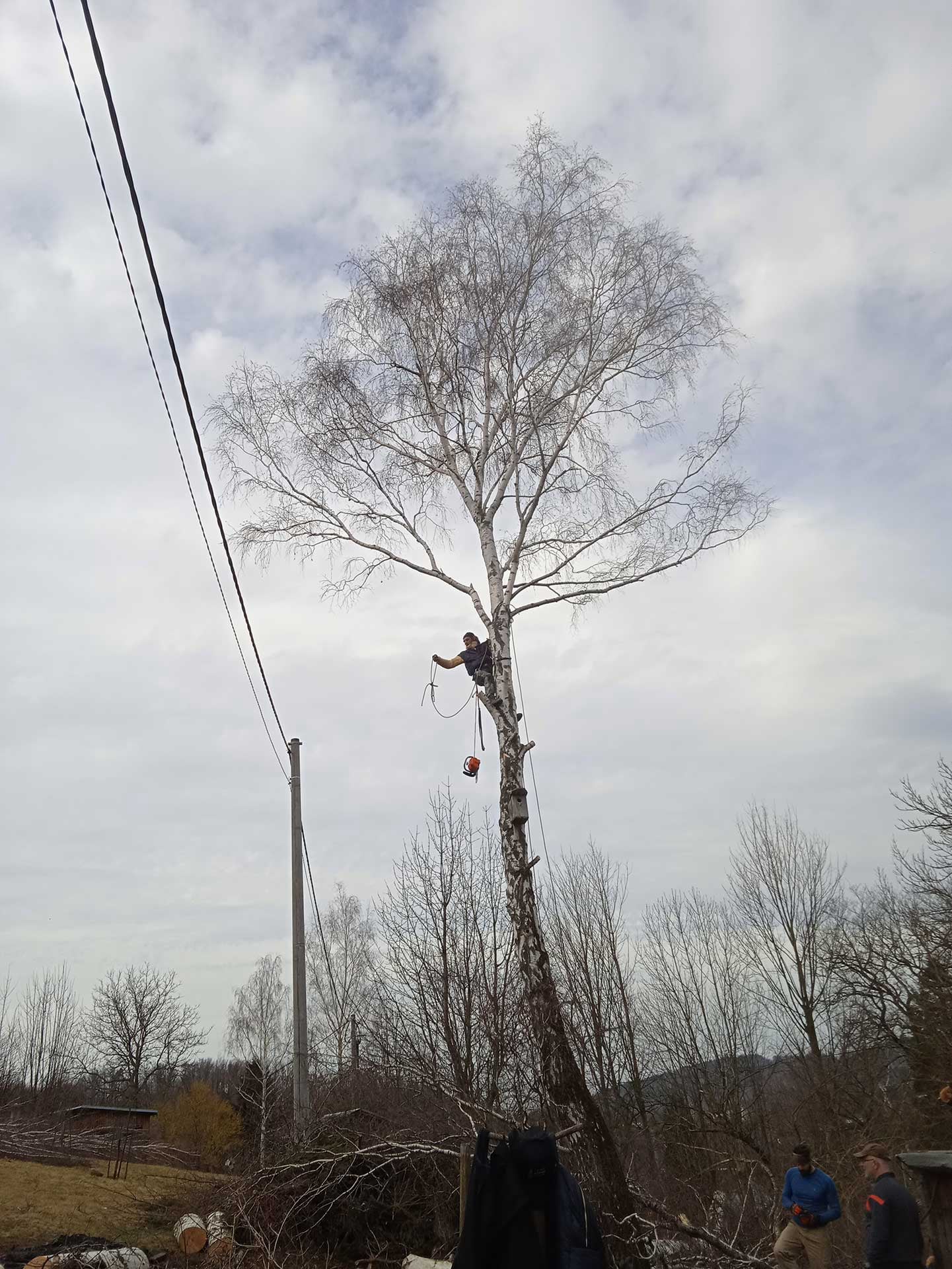Výškový lezec Aleš Kučera Rizikové kácení stromů Výškové práce Prořezávání stromů a stromku práce s motorovou pilou řezání dřeva ostatní práce horolezeckou technikou