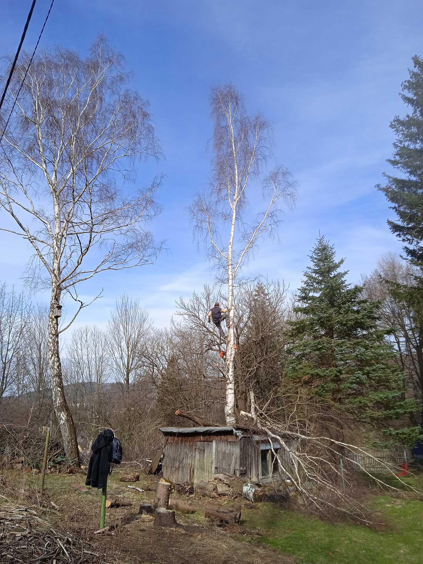 Výškový lezec Aleš Kučera Rizikové kácení stromů Výškové práce Prořezávání stromů a stromku práce s motorovou pilou řezání dřeva ostatní práce horolezeckou technikou