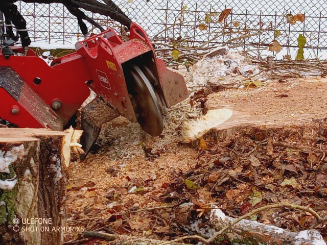Výškový lezec Aleš Kučera Rizikové kácení stromů Výškové práce Prořezávání stromů a stromku práce s motorovou pilou řezání dřeva ostatní práce horolezeckou technikou