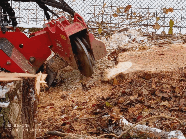 Výškový lezec Aleš Kučera Rizikové kácení stromů Výškové práce Prořezávání stromů a stromku práce s motorovou pilou řezání dřeva ostatní práce horolezeckou technikou
