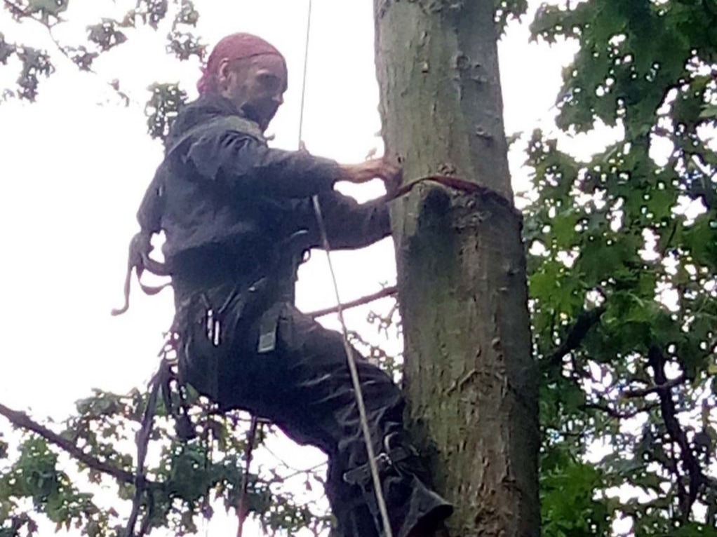 Výškový lezec Aleš Kučera Rizikové kácení stromů Výškové práce Prořezávání stromů a stromku práce s motorovou pilou řezání dřeva ostatní práce horolezeckou technikou