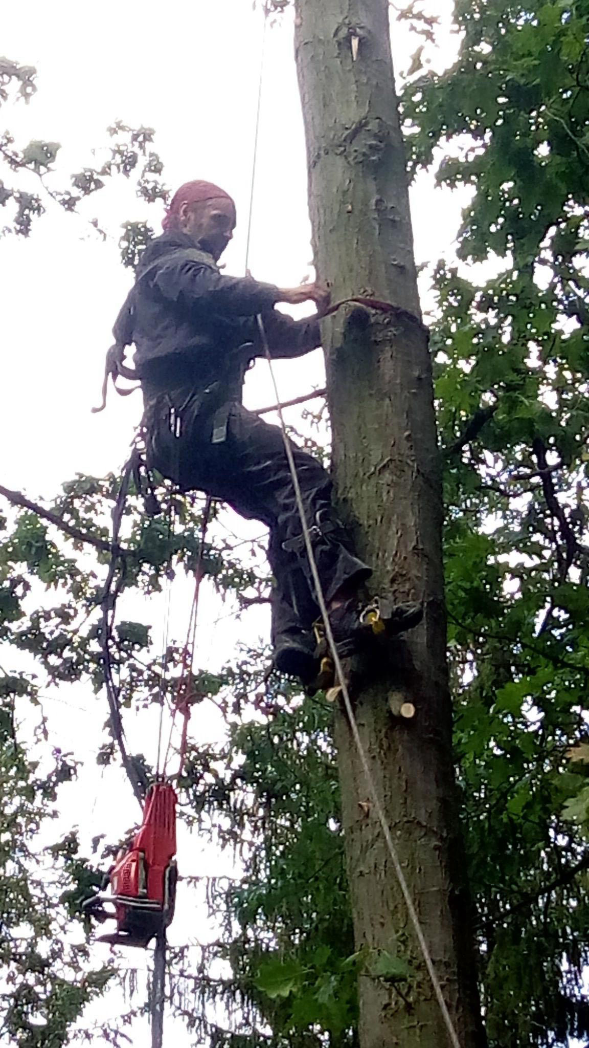 Výškový lezec Aleš Kučera Rizikové kácení stromů Výškové práce Prořezávání stromů a stromku práce s motorovou pilou řezání dřeva ostatní práce horolezeckou technikou