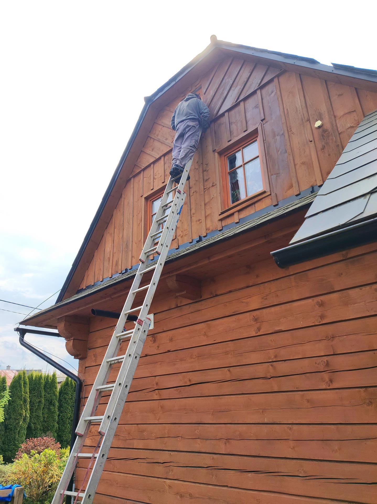 Výškový lezec Aleš Kučera Rizikové kácení stromů Výškové práce Prořezávání stromů a stromku práce s motorovou pilou řezání dřeva ostatní práce horolezeckou technikou